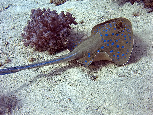 CRW_3432.jpg