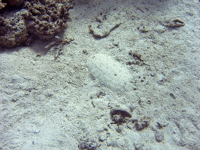 CRW_3434.jpg