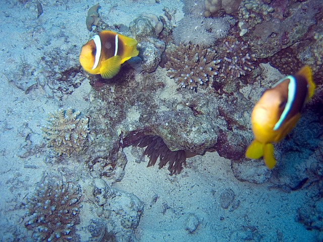 CRW_3437.jpg