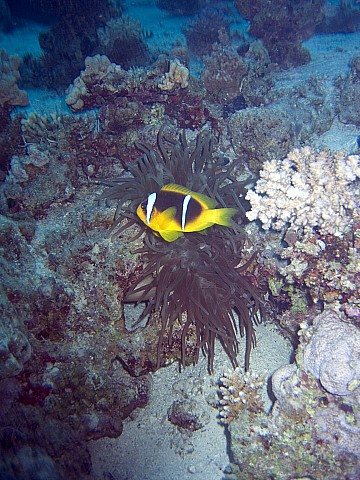 CRW_3438.jpg