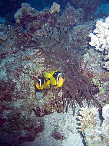 CRW_3439.jpg