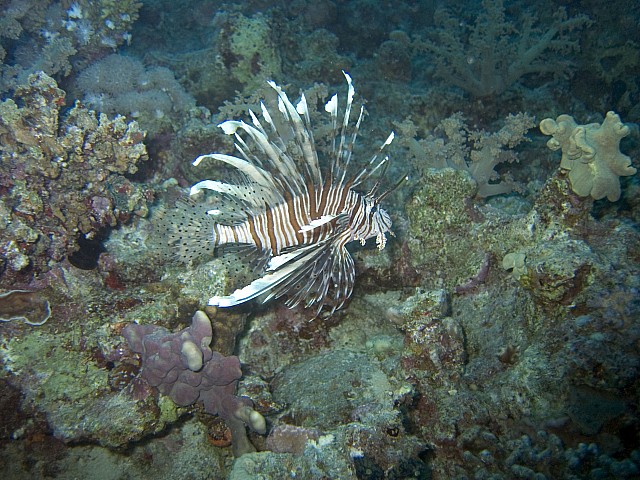 CRW_3441.jpg