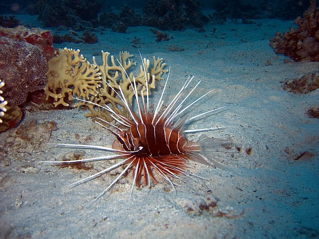 CRW_3445.jpg