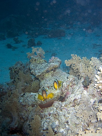 CRW_3447.jpg