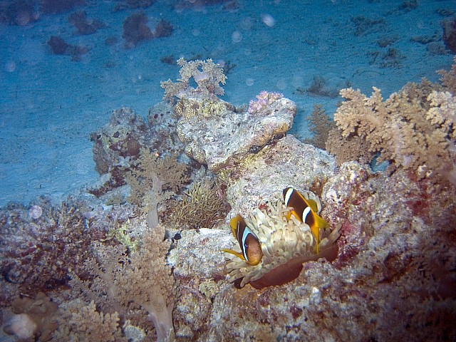 CRW_3448.jpg