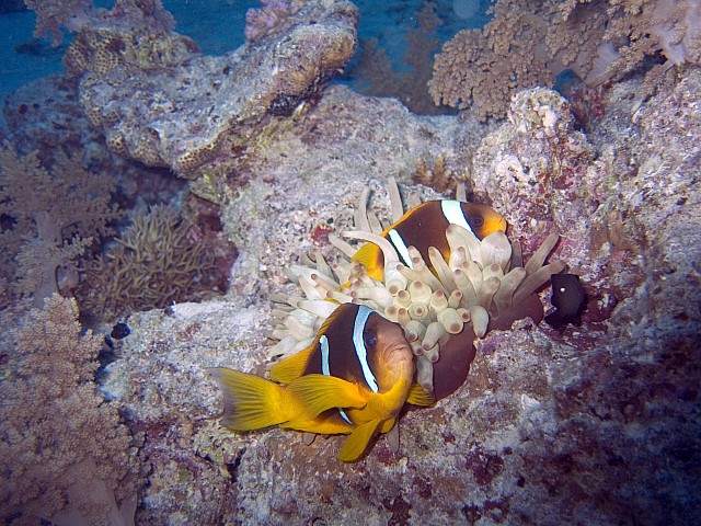 CRW_3449.jpg