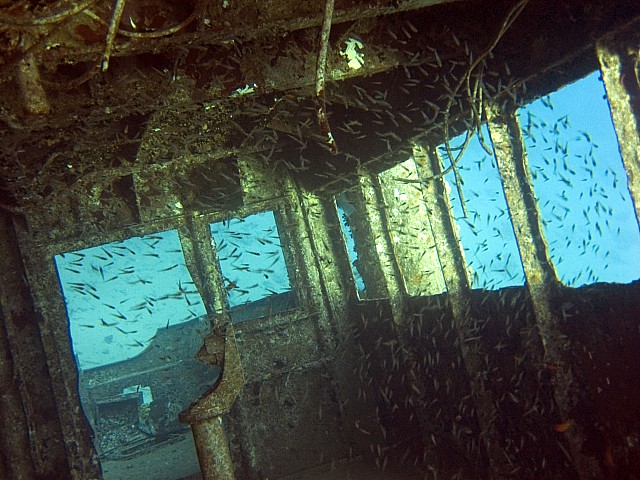 CRW_3465.jpg