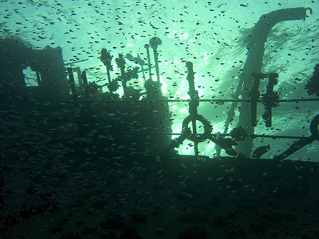 CRW_3467.jpg