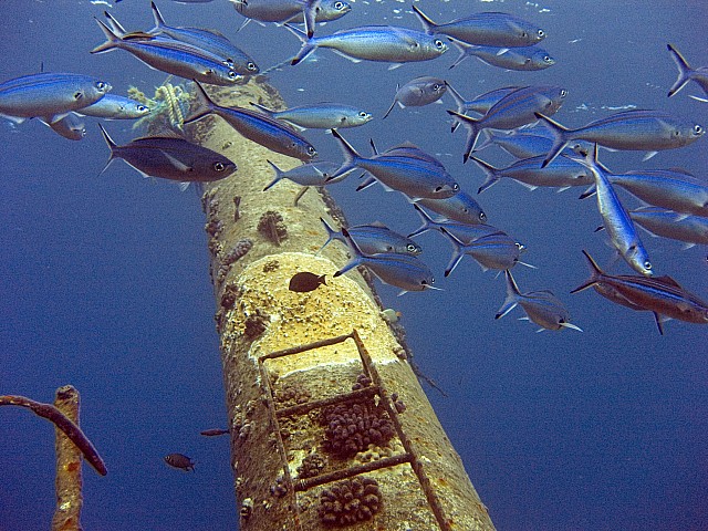 CRW_3508.jpg