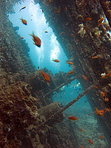 CRW_3528.jpg