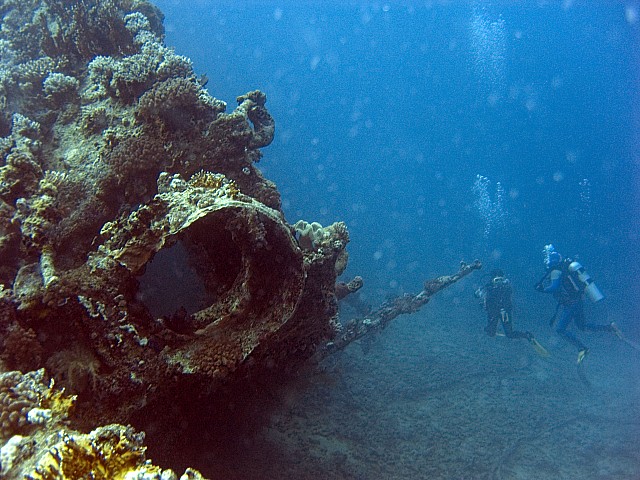 CRW_3540.jpg