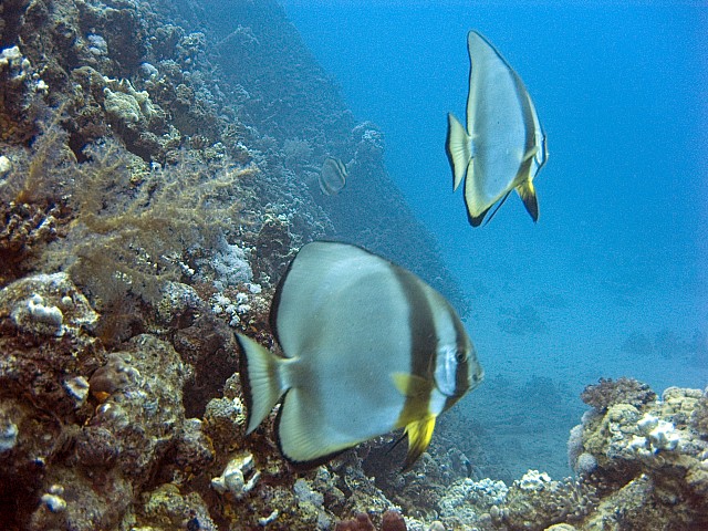 CRW_3550.jpg