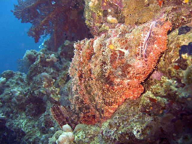 CRW_3554.jpg