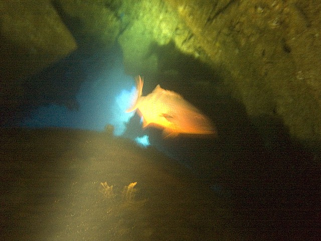 CRW_3564.jpg