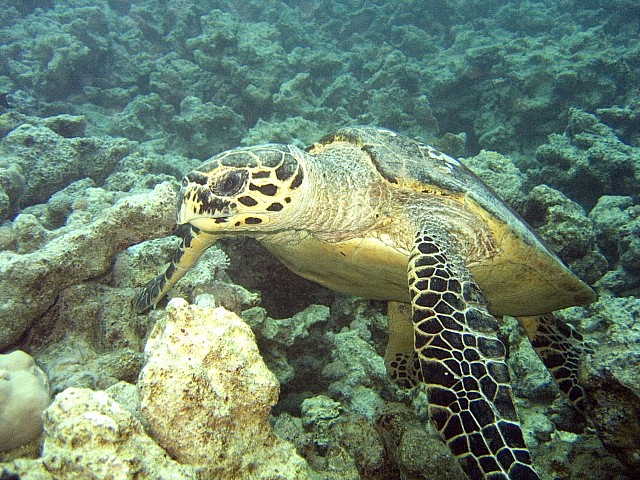 CRW_3581.jpg