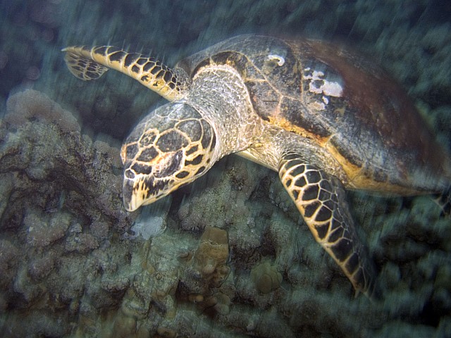 CRW_3583.jpg