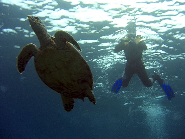CRW_3591.jpg