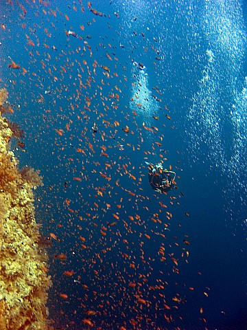 CRW_3595.jpg