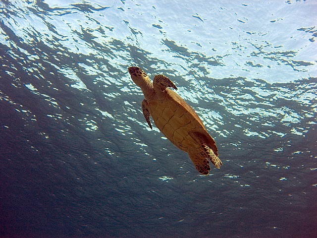 CRW_3605.jpg