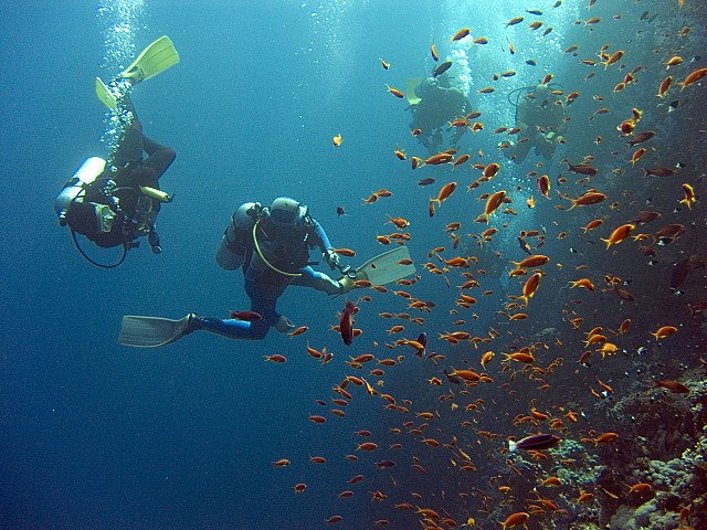 CRW_3618.jpg