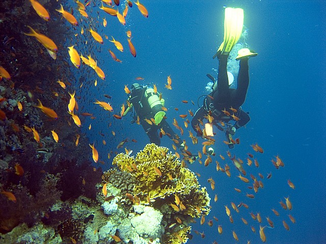 CRW_3619.jpg