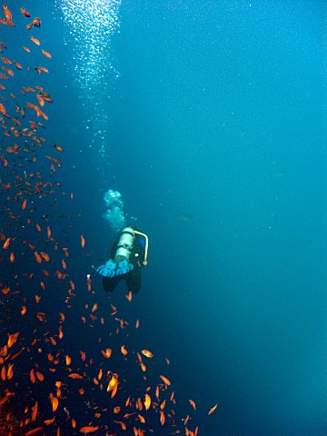 CRW_3620.jpg