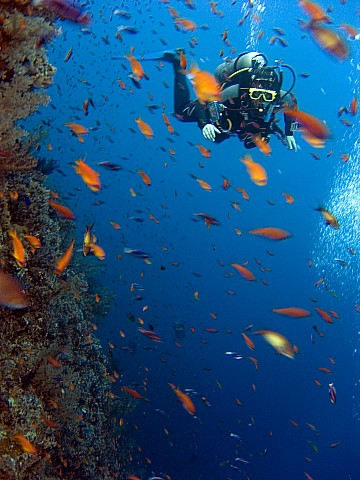 CRW_3621.jpg