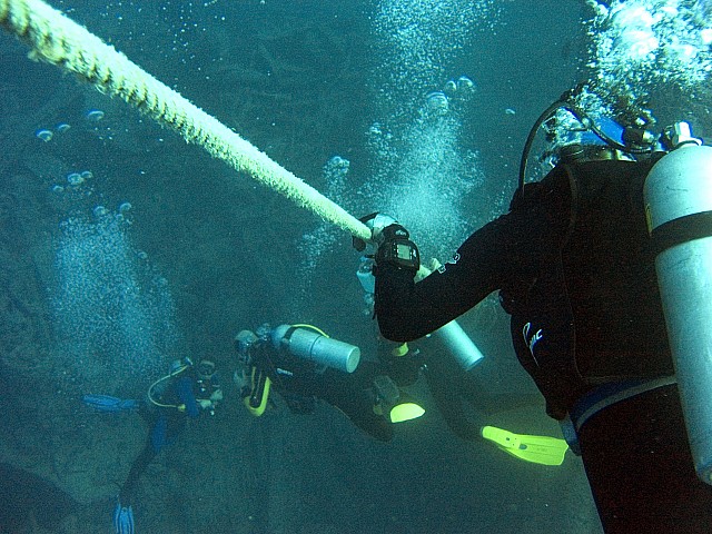 CRW_3648.jpg