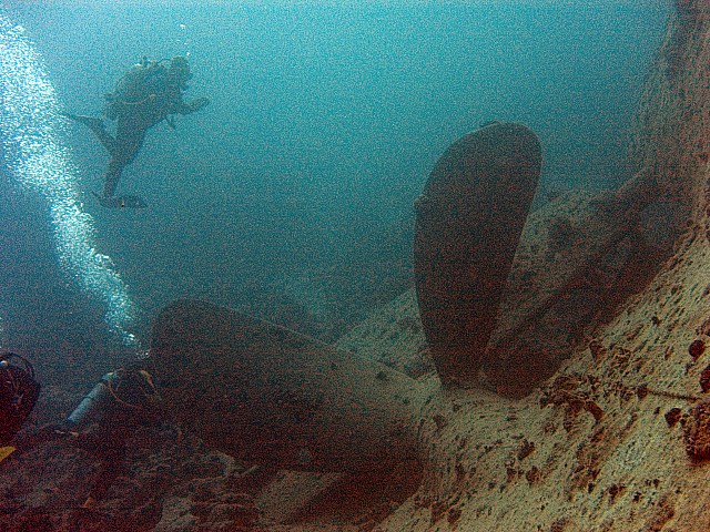 CRW_3650.jpg