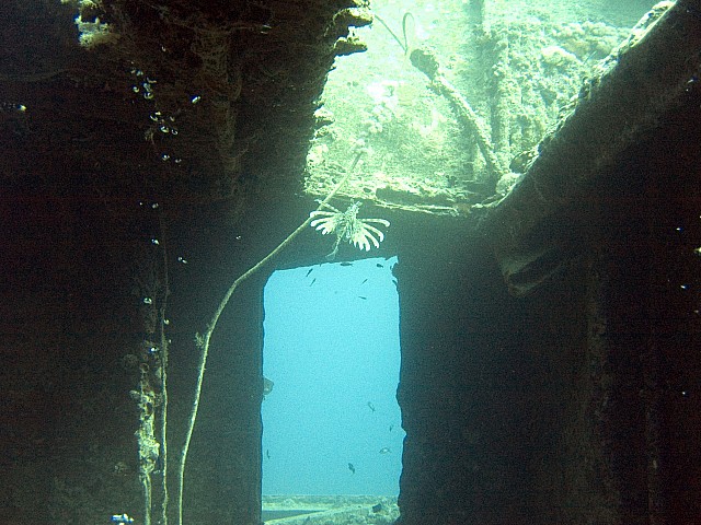 CRW_3668.jpg