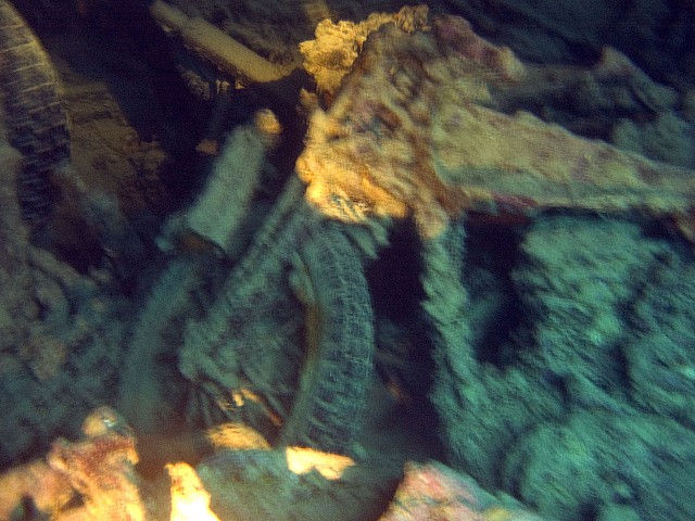 CRW_3670.jpg