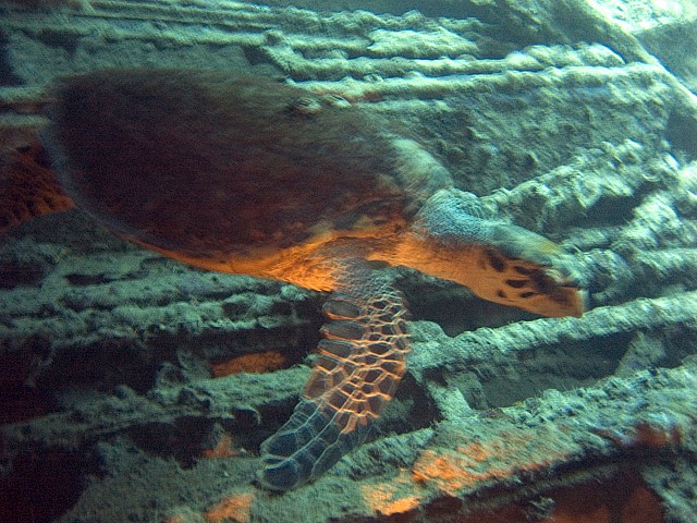 CRW_3671.jpg
