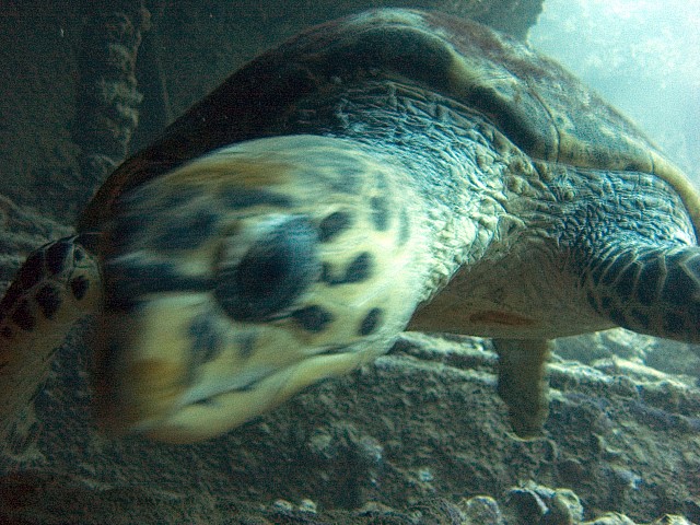 CRW_3672.jpg