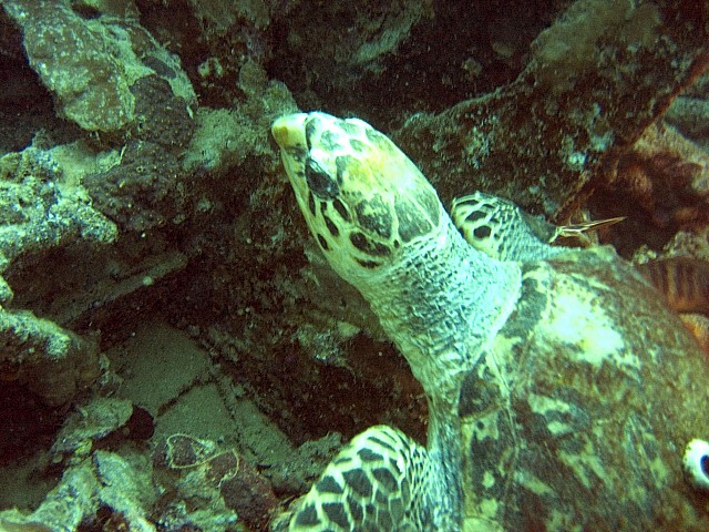 CRW_3674.jpg