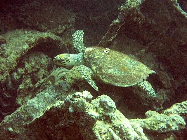 CRW_3676.jpg