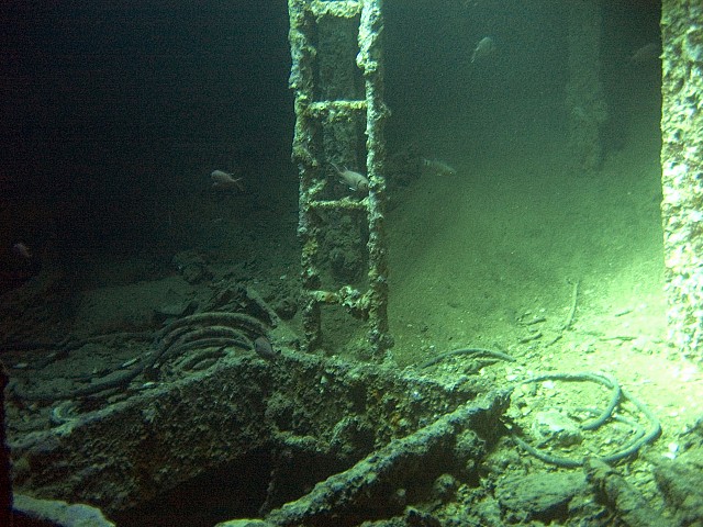 CRW_3678.jpg