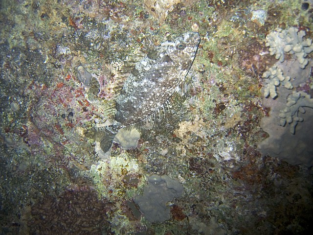 CRW_3708.jpg