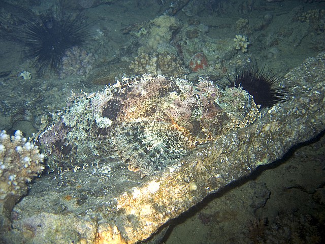 CRW_3711.jpg