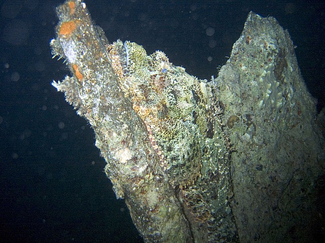 CRW_3714.jpg