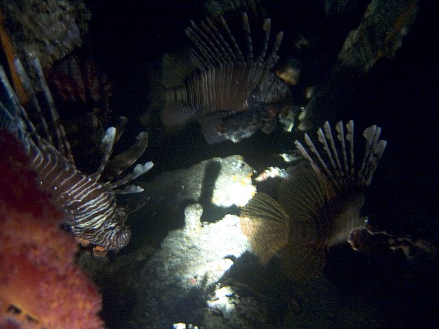 CRW_3717.jpg