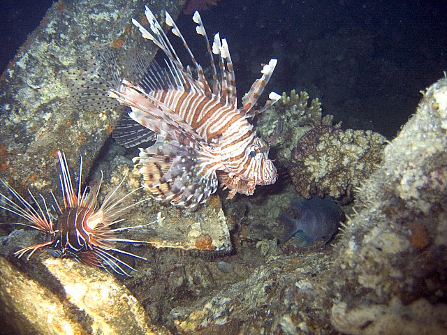 CRW_3720.jpg