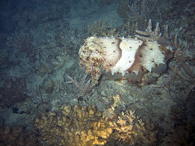 CRW_3727.jpg