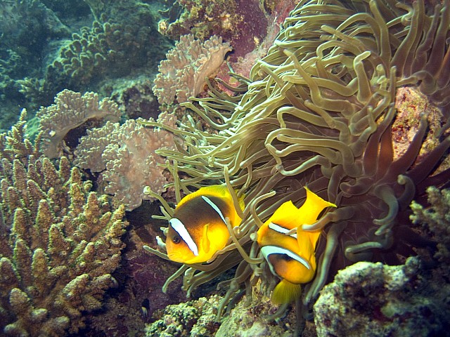 CRW_3742.jpg