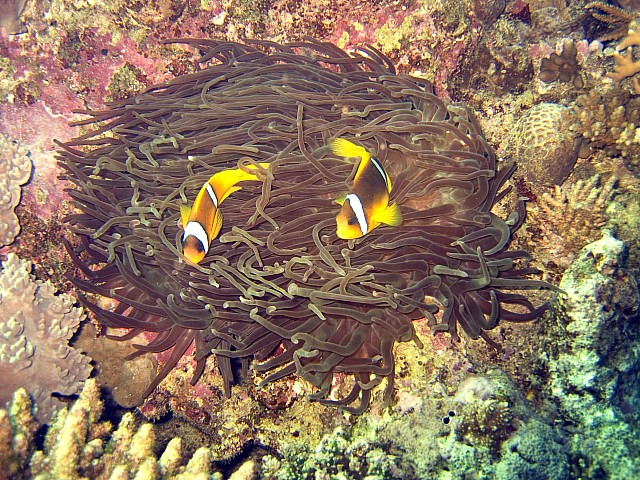 CRW_3745.jpg