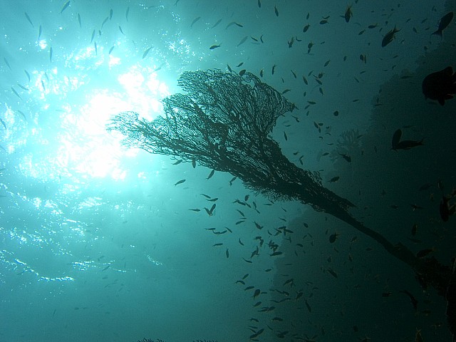 CRW_3750.jpg