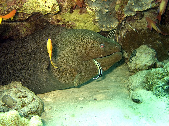 CRW_3762.jpg