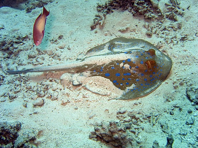 CRW_3764.jpg