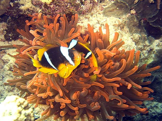 CRW_3778.jpg