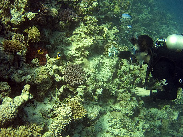 CRW_3780.jpg