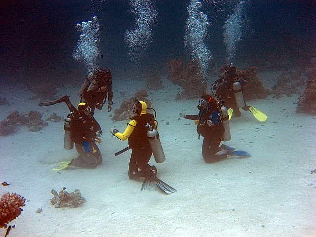 CRW_3792.jpg